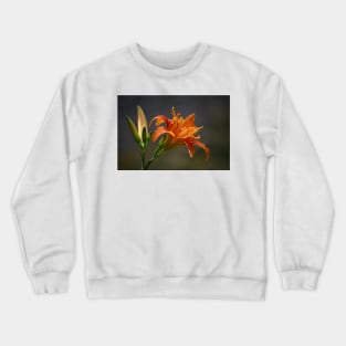 Nature’s Window: Evening Glow Crewneck Sweatshirt